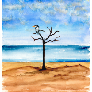 The Herons Rest